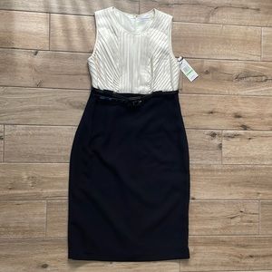 NWT Calvin Klein dress Black/Cream